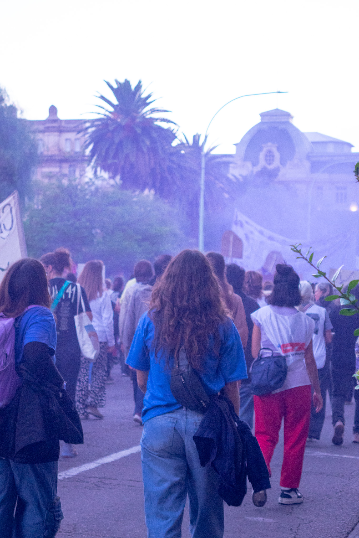 Vista general de la marcha y su bandera principal